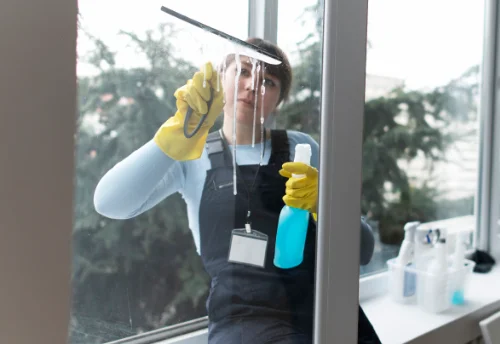 Nettoyage de vitres intérieures et extérieures à Coudroy